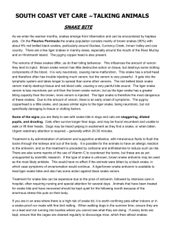 south coast vet care ~ talking animals snake bite