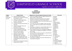 Curriculum Overview 10P Spring 2017