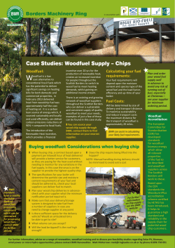 BMR case study- woodchip - Scottish Borders Leader