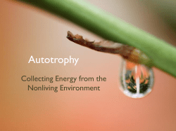 Autotrophy - Lisle CUSD 202