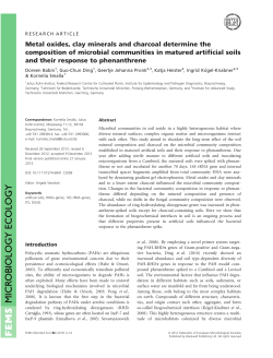 Metal oxides, clay minerals and charcoal determine the composition
