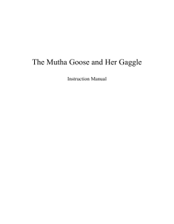 The Mutha Goose and Her Gaggle