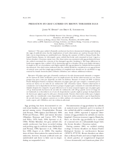 predation by gray catbird on brown thrasher eggs