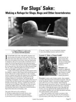For Slugs` Sake: