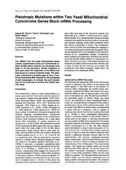 Pleiotropic Mutations within Two Yeast Mitochondrial Cytochrome