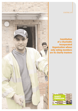 Constitution of a Charitable Incorporated Organisation whose only