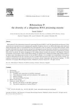 Ribonuclease P: the diversity of a ubiquitous