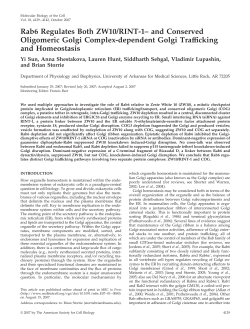 Rab6 Regulates Both ZW10/RINT-1&ndash; and Conserved