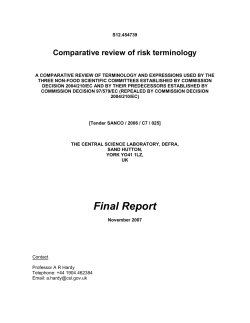 risk terminology FINAL REPORT v3 CLEAN