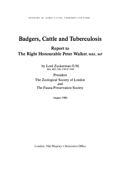 Badgers, Cattle and Tuberculosis. Zuckerman OM