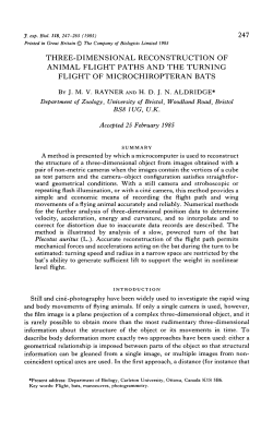 three-dimensional reconstruction of animal flight paths and the
