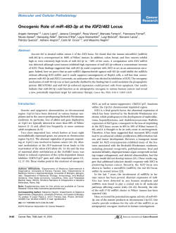 Oncogenic Role of miR-483-3p at the IGF2/483 Locus