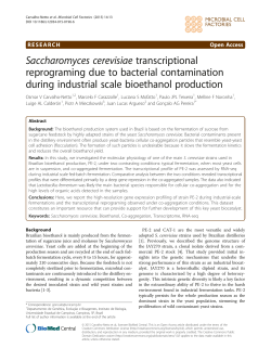 Saccharomyces cerevisiae transcriptional