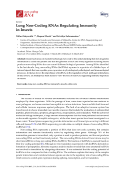 Long Non-Coding RNAs Regulating Immunity in Insects