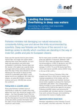 Landing the blame: Overfishing in deep sea waters