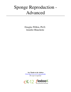 Sponge Reproduction - Advanced