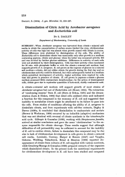 and Escherichia coli