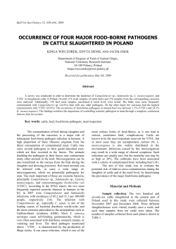 occurrence of four major food-borne pathogens in cattle slaughtered