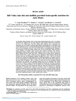 Rift Valley lake fish and shellfish provided brain