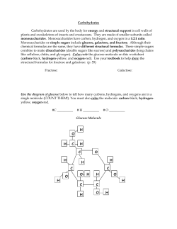 carbohydrates-cer