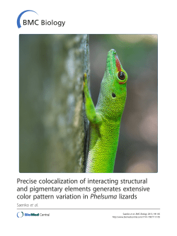 Precise colocalization of interacting structural and pigmentary