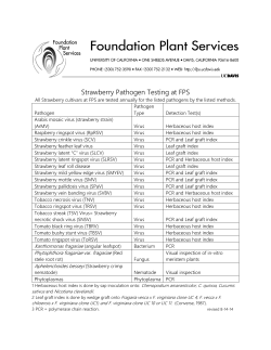 Strawberry Pathogen Testing at FPS
