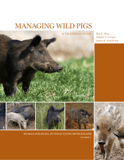 Managing Wild Pigs - Berryman Institute
