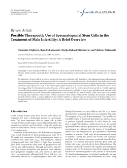 Possible Therapeutic Use of Spermatogonial Stem Cells in the