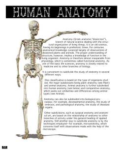 Anatomy (Greek anatome,”dissection”), branch of natural science