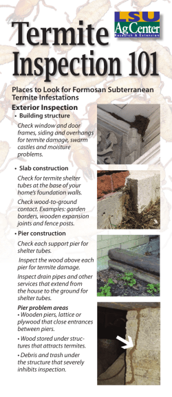Places to Look for Formosan Subterranean Termite Infestations