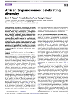 African trypanosomes: celebrating diversity