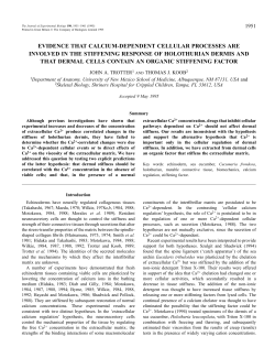 evidence that calcium-dependent cellular processes are involved in