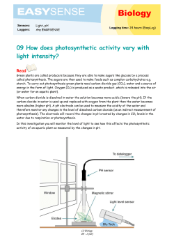 Enter o to this page the details for the document