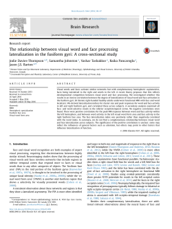 The relationship between visual word and face processing