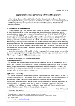 Capital and business partnership with Brooklyn Brewery