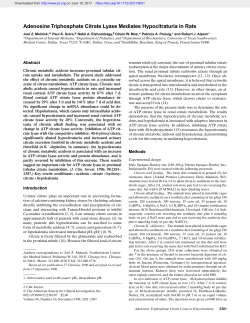 Adenosine Triphosphate Citrate Lyase Mediates Hypocitraturia in Rats