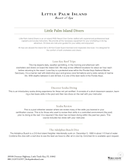 Little Palm Island Divers