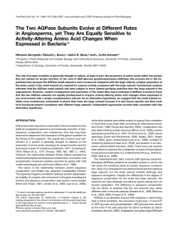 The Two AGPase Subunits Evolve at Different Rates