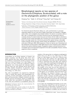 Morphological reports on two species of Dexiotricha