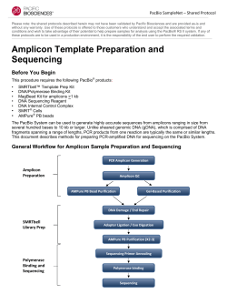 Amplicon preparation guide