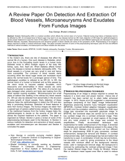A Review Paper On Detection And Extraction Of Blood Vessels