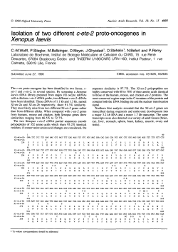 Isolation of two different c-ets-2 proto
