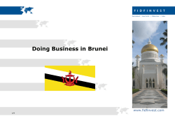 Doing Business in Brunei