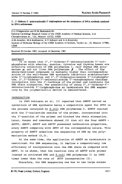 2&prime;, 3&prime;-Dideoxy-3&prime; amlnonudeo 5&prime;. triphosphates are the