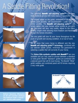 Status Elite Benefit self adjusting gullet system