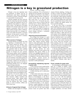 Nitrogen is a key in grassland production
