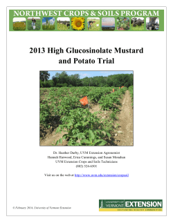 2013 High Glucosinolate Mustard and Potato Trial
