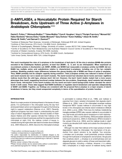 β-AMYLASE4, a Noncatalytic Protein Required for Starch