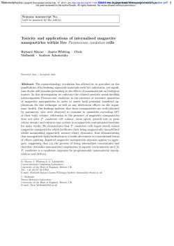 Toxicity and applications of internalised magnetite