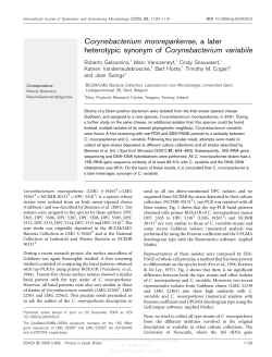 Corynebacterium mooreparkense, a later heterotypic synonym of